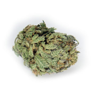 Big Buddha Cheese Indica