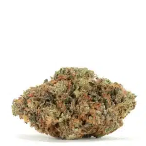 tiger blood strain